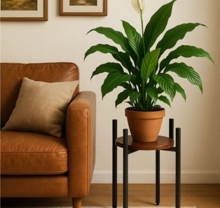 Plant Stand Flower Shelf Round Base