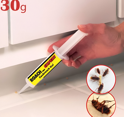 جل الصراصير - خبير الصراصير