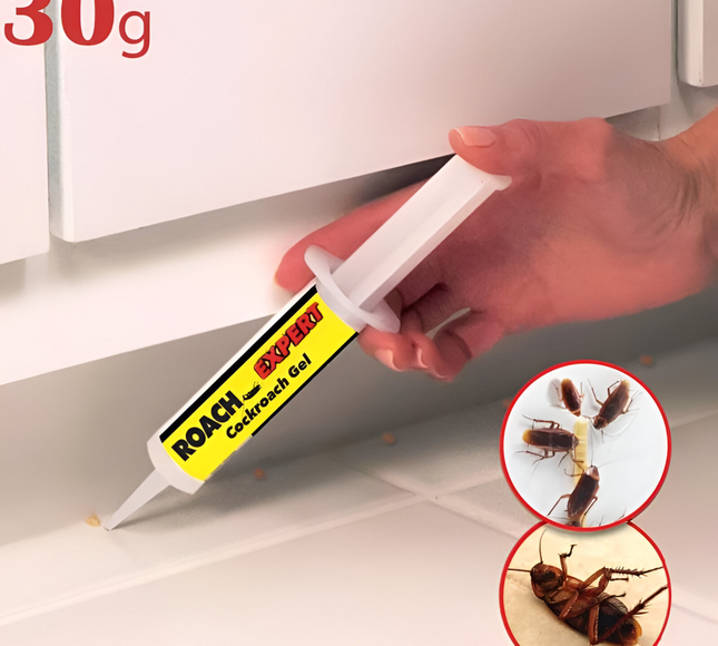 جل الصراصير - خبير الصراصير