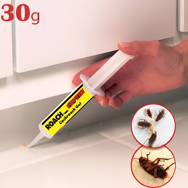 جل الصراصير - خبير الصراصير