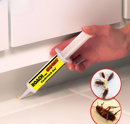 جل الصراصير - خبير الصراصير