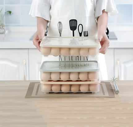 Egg Storage Box (2 PCS)