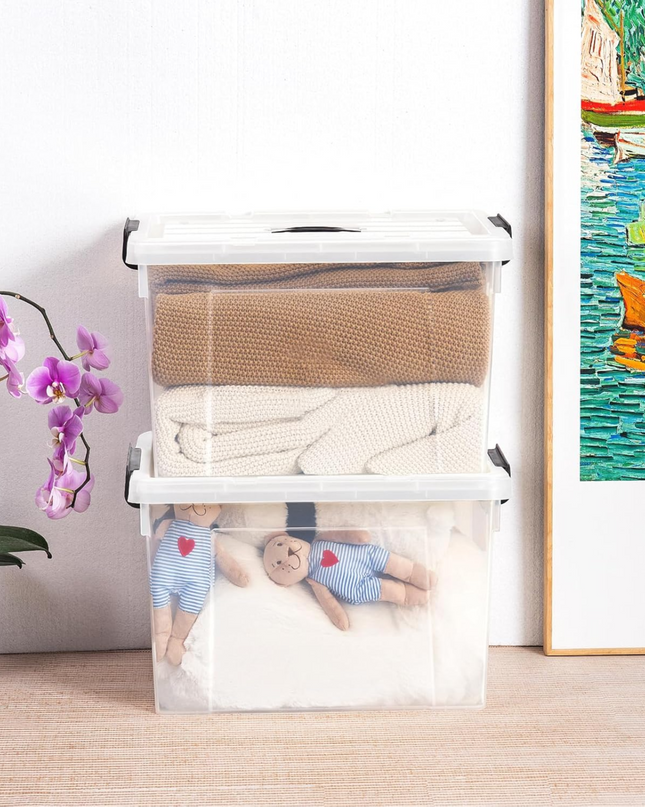 Plastic Transparent Storage Box