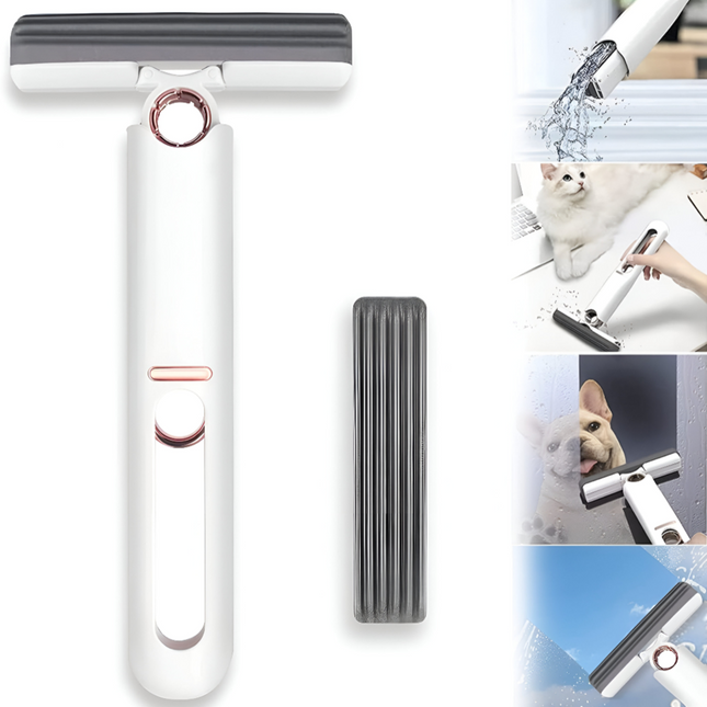 ممسحة تنظيف صغيرة