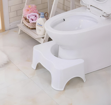 Toilet Seat Step Stool