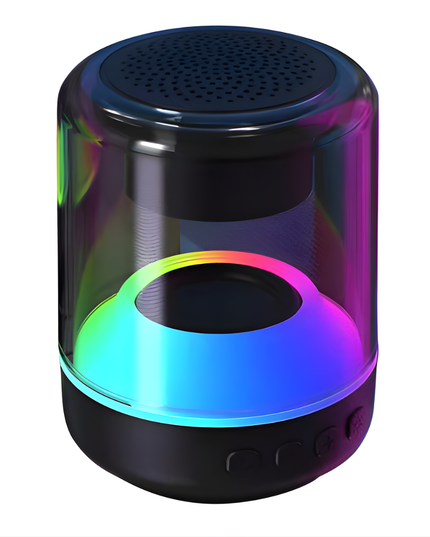 Holy Quran Speaker SQ300