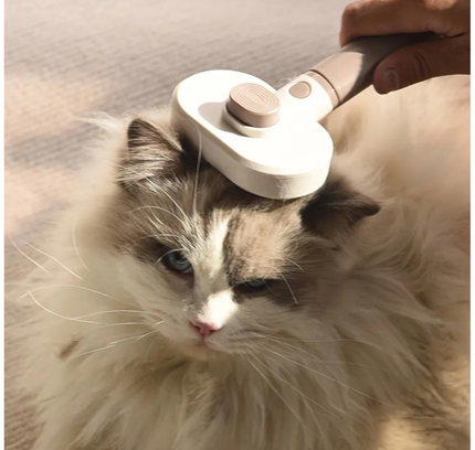 2 In 1 Multi-fuctional Pet Comb