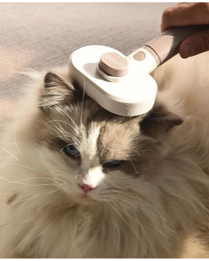 2 In 1 Multi-fuctional Pet Comb