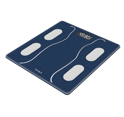 Smart Body Scale
