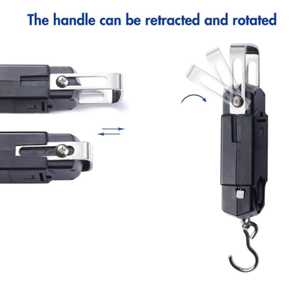 Portable Electronic Hanging Scale