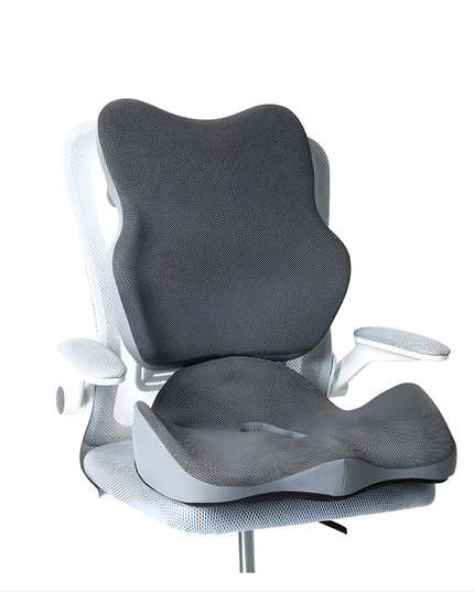 Seat Cushion with Back Support