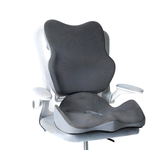 Seat Cushion with Back Support