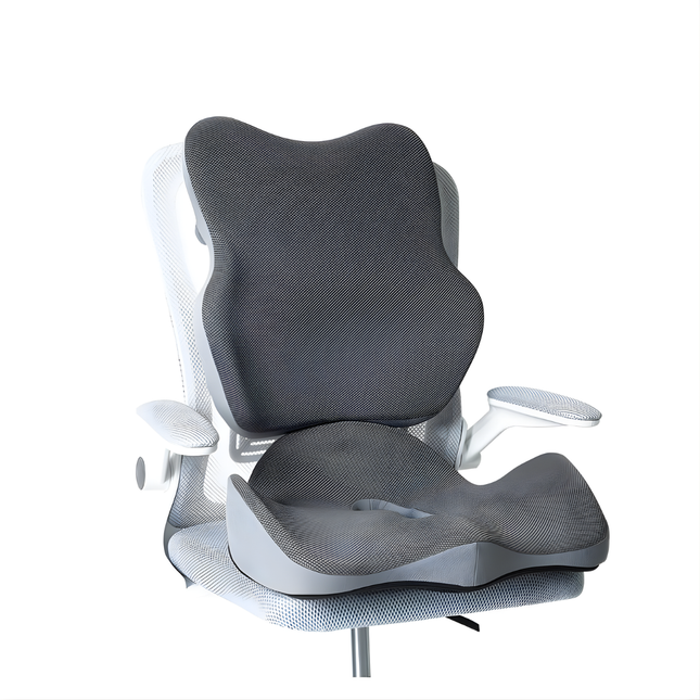 Seat Cushion with Back Support