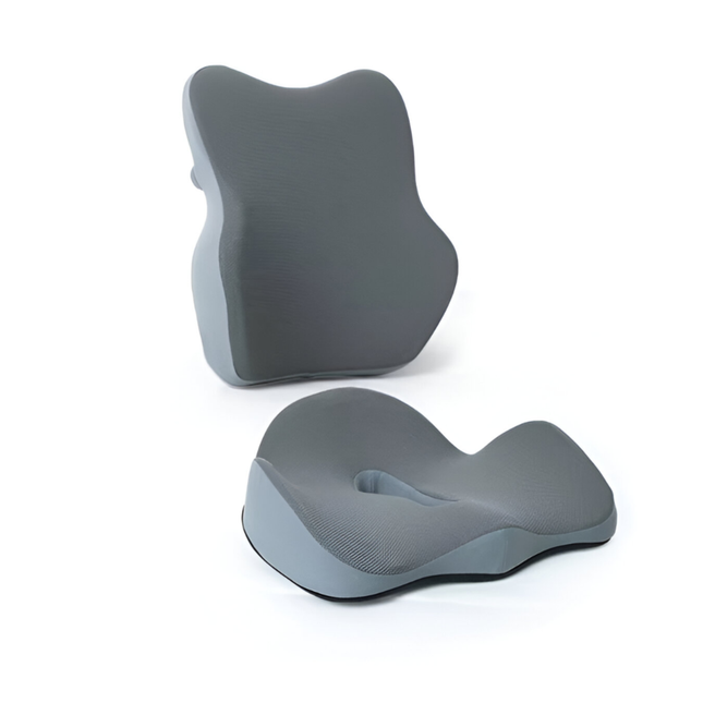 Seat Cushion with Back Support