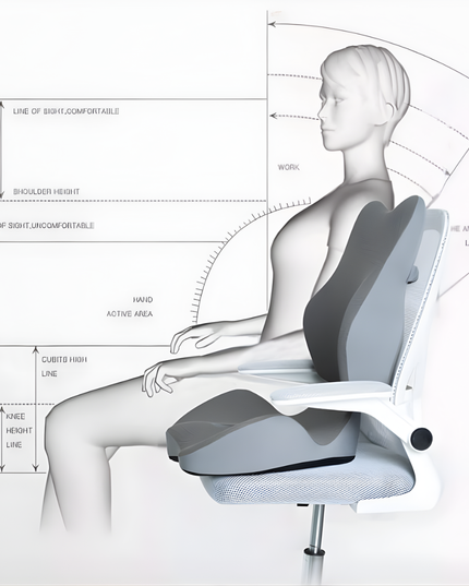 Seat Cushion with Back Support