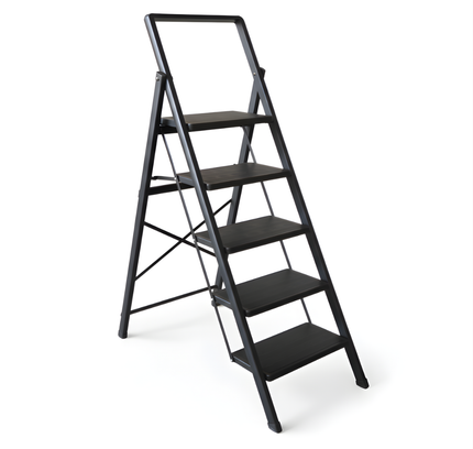 Foldable Iron Ladder with Handrail 5 Steps