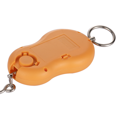 RAF Kitchen Scale R.10020