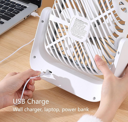 Desktop Circulating Fan 4 speed