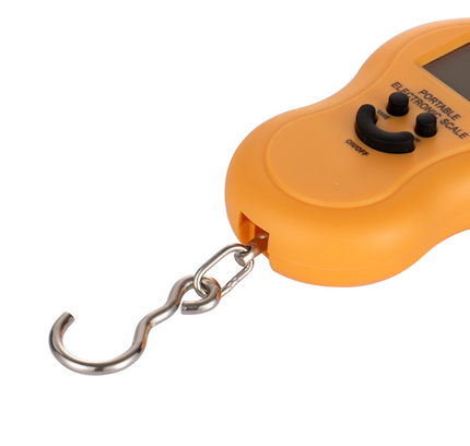 RAF Kitchen Scale R.10020