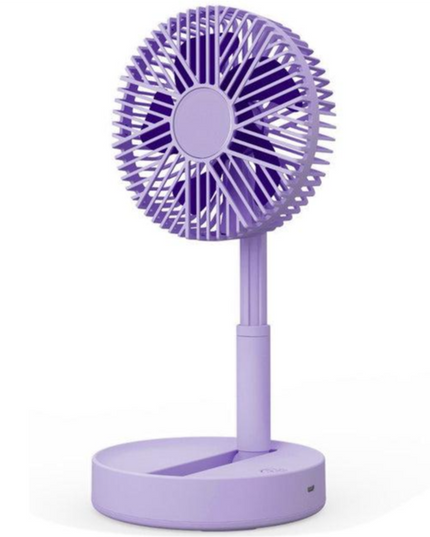 Mini Folding Fan Reacharble EJ-81218