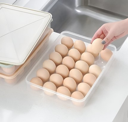 Egg Storage Box (2 PCS)
