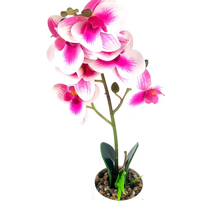Natural Artificial Flower Plant 53cm
