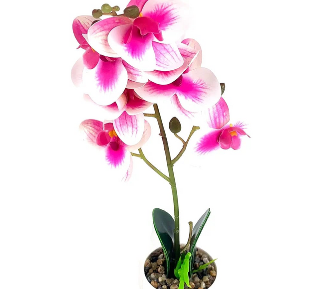 Natural Artificial Flower Plant 53cm