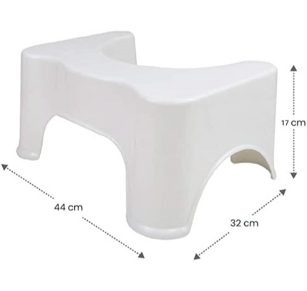 Toilet Seat Step Stool