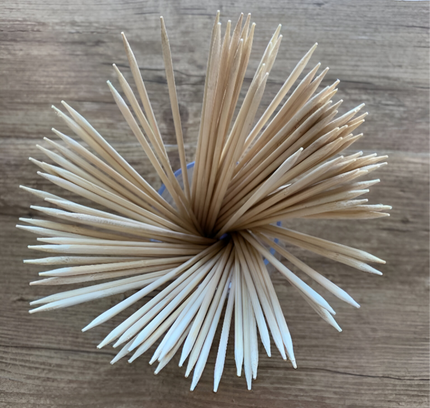 BBQ Bamboo Stick Wooden Skewers