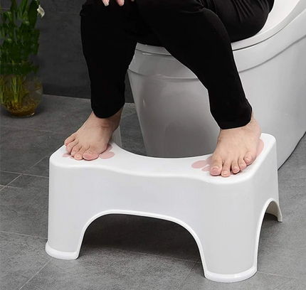 Toilet Seat Step Stool