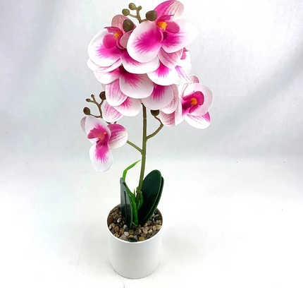 Natural Artificial Flower Plant 53cm
