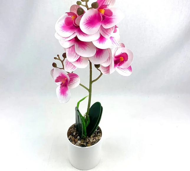 Natural Artificial Flower Plant 53cm