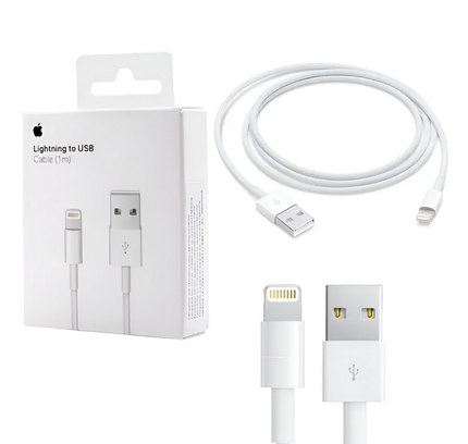 Apple 1 Mtr Cable Lightning To Usb