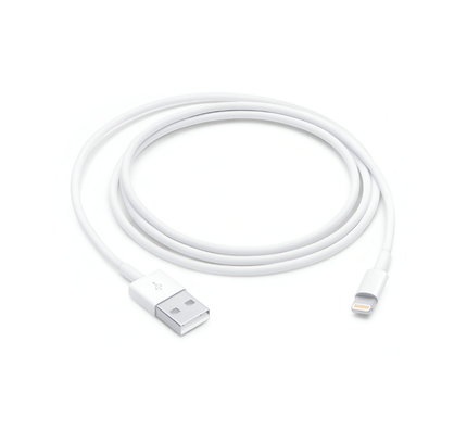 Apple 1 Mtr Cable Lightning To Usb