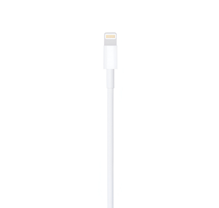 Apple 1 Mtr Cable Lightning To Usb
