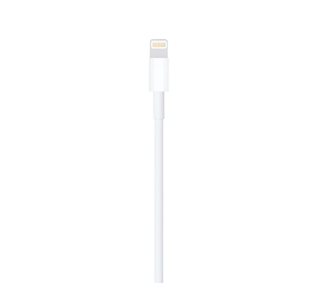 Apple 1 Mtr Cable Lightning To Usb