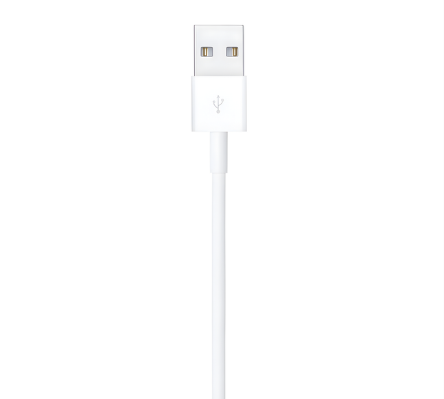 Apple 2 Mtr Cable Lightning To Usb