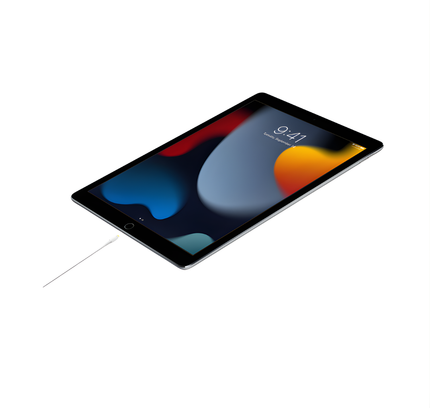 Apple 1 Mtr Cable Usb-C To Lightning