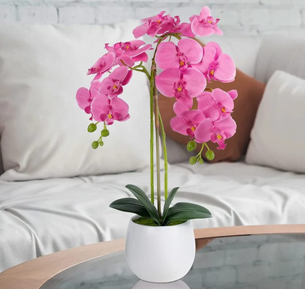 Natural Atificial Flower Plant 53cm