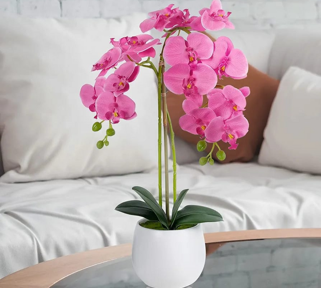 Natural Atificial Flower Plant 53cm