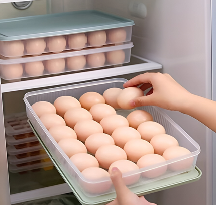Egg Storage Box (2 PCS)
