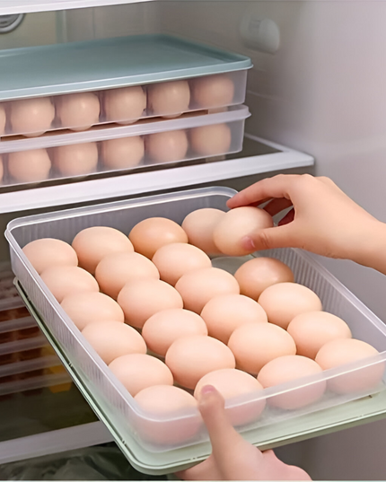 Egg Storage Box (2 PCS)