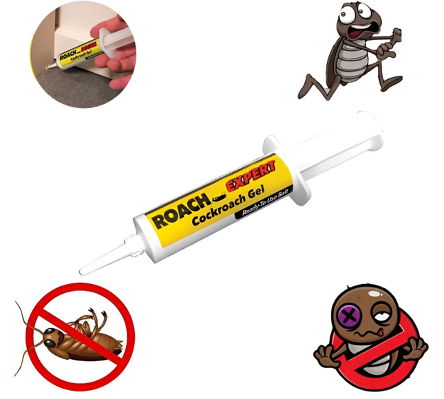 جل الصراصير - خبير الصراصير