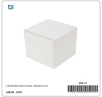 Cartone Box White Plane 60X30X35Cm