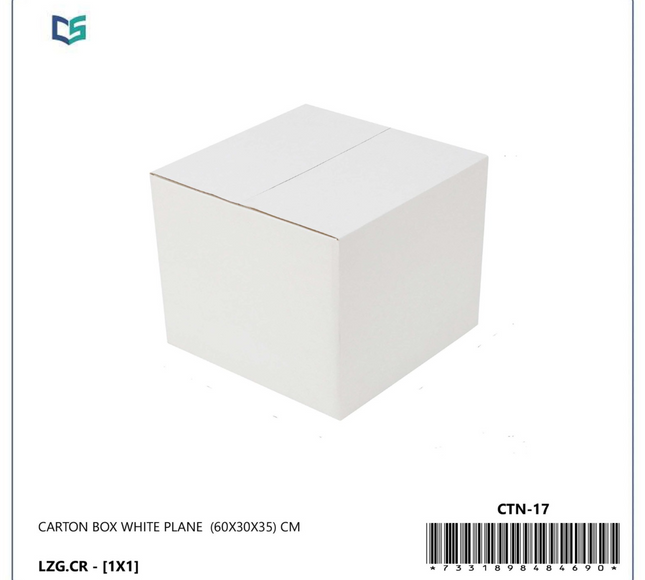Cartone Box White Plane 60X30X35Cm