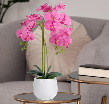 Natural Atificial Flower Plant 53cm