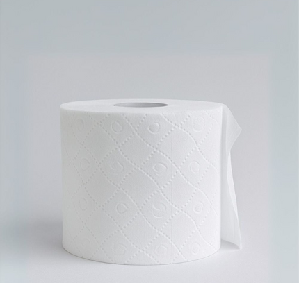 Ayra Toilet Tissue 10 Rolls 2Ply 300 Sheets