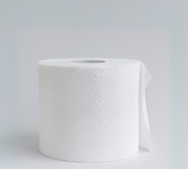 Ayra Toilet Tissue 10 Rolls 2Ply 300 Sheets
