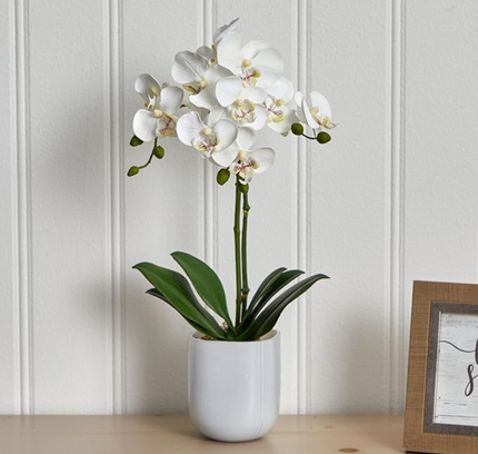 Natural Artificial Flower Plant 53cm