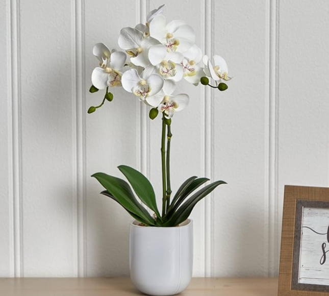 Natural Artificial Flower Plant 53cm